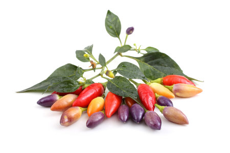 Hot little chili peppers with leaves