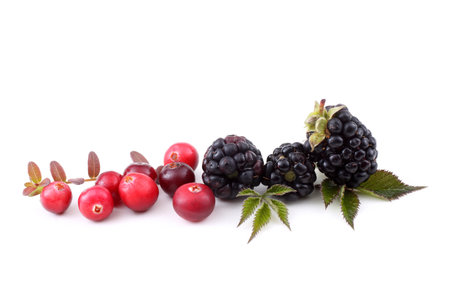 Blackberries and cranberries