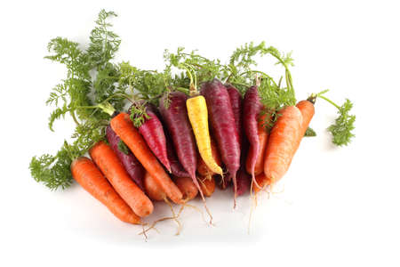 Different color carrots with leavesの写真素材