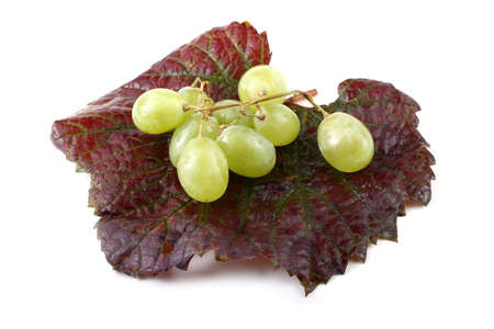 Grape on autumn leafの写真素材