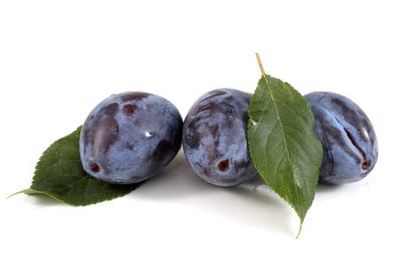 Plums and leavesの写真素材