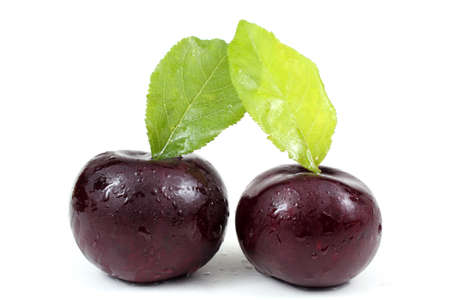 Two violet plums with leavesの写真素材