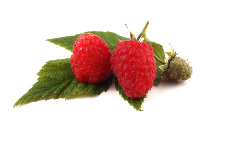 Raspberries on leaves