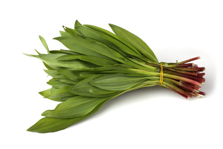 Bunch of ramson
