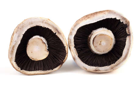 Champignon mushroomsの写真素材