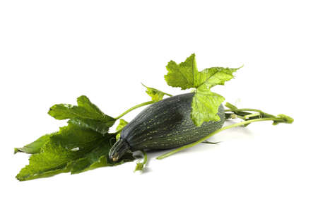 Green squash on leavesの写真素材