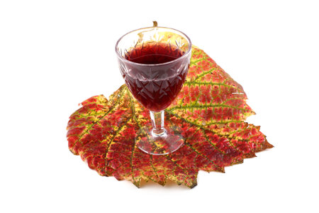 Wine on grape autumn leafの写真素材