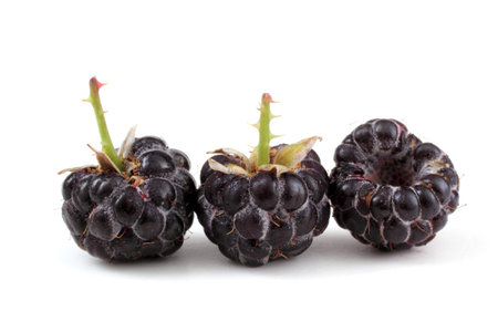 black raspberries