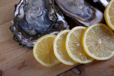 Oysters on tableの写真素材