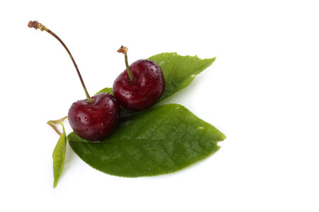 Cherries and leaves