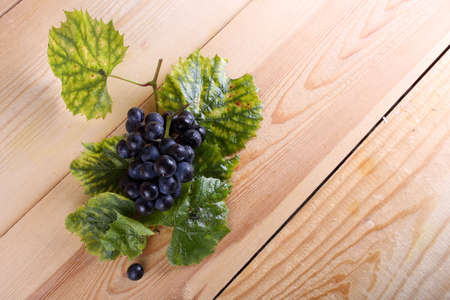 Autumn grape harvestの写真素材