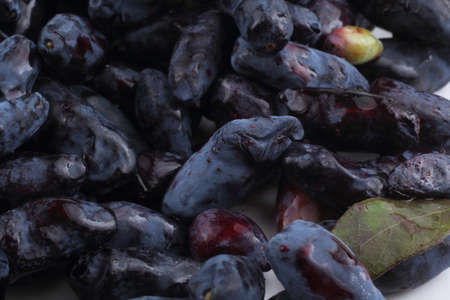 Far eastern forest berry. Honeyberryの写真素材