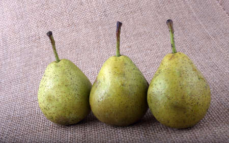 Pear on baggingの写真素材