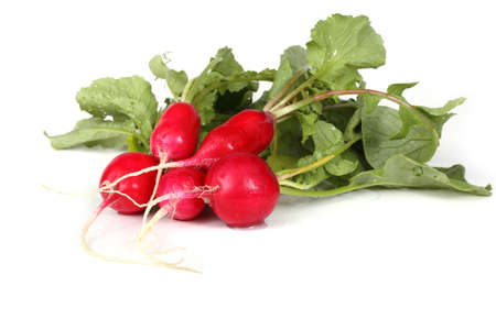 Radishes isolated on whiteの写真素材