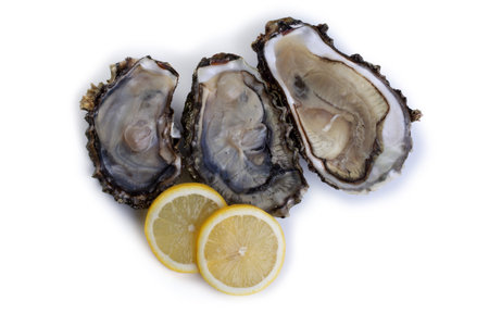 Oysters isolated on white