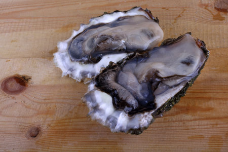 Oysters on table