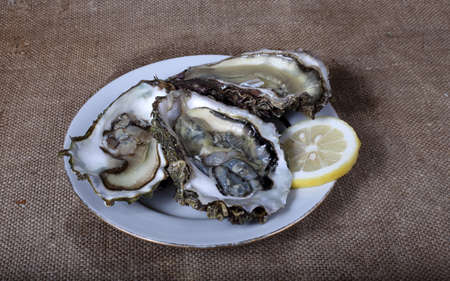Oysters on baggingの写真素材