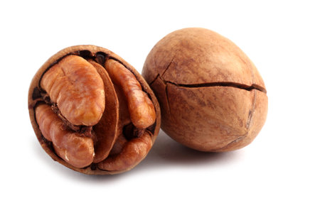 Pecan isolated on white