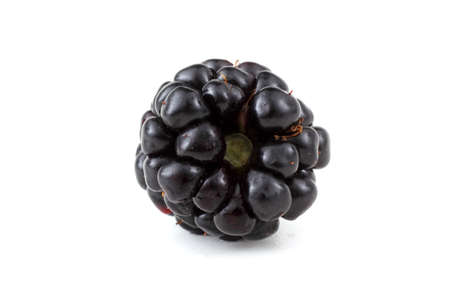 Blackberry isolated on whiteの写真素材