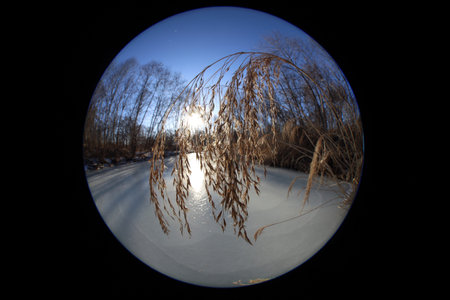 Northern fisheye landscape. Forest and riverの写真素材