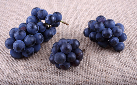 Black wine grape on bagging