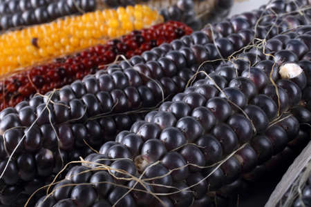 Colorful corn backgroundの写真素材