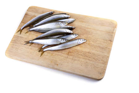 Smelt fishes isolated on whiteの写真素材