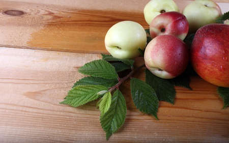 Nectarines on tableの写真素材