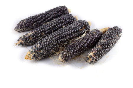 Black corn isolated on whiteの写真素材