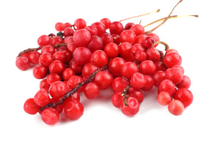 Schisandra Chinensis isolated on whiteの写真素材