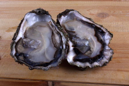 Oysters on table