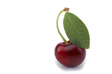 Red cherry isolated on whiteの写真素材