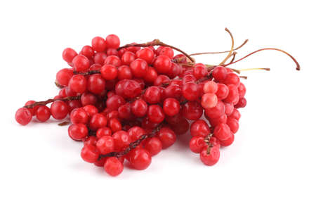 Schisandra Chinensis isolated on whiteの写真素材
