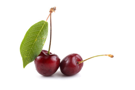 Fresh berries