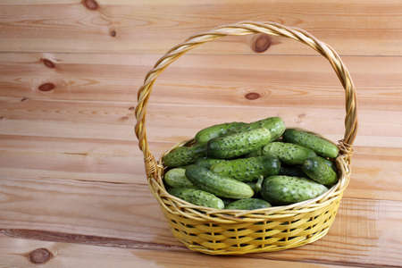 Cucumbers on tableの写真素材