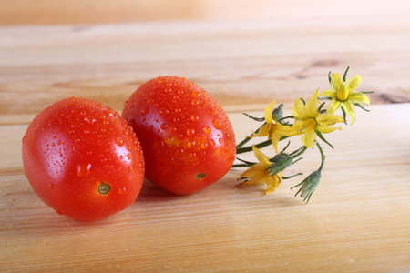 Tomatoes on tableの写真素材