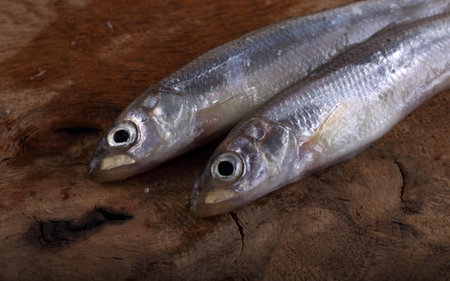 Smelt fishes on table