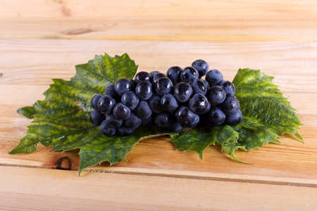Autumn grape harvestの写真素材