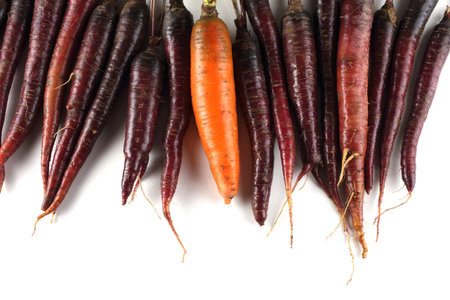 Orange and violet carrots