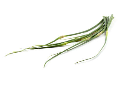 Garlic arrows isolated on whiteの写真素材