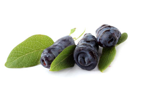 Honeysuckle berries isolated on whiteの写真素材