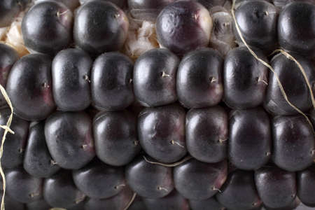 Black corn backgroundの写真素材