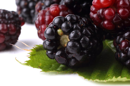 Blackberry background. Macro