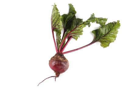 Beet and leaves