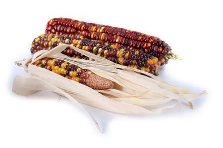 Different color corn