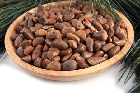 Cedar pine nuts