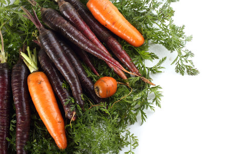 Orange and violet carrots and leaves