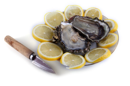 Oysters, lemon and oysters knife