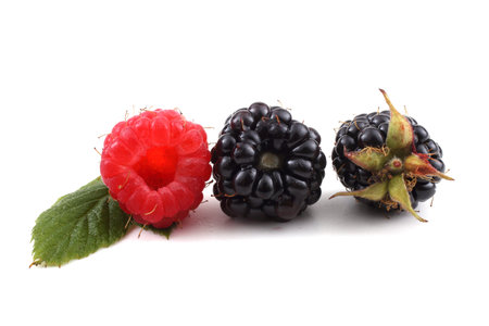 Blackberries and raspberry isolated on white