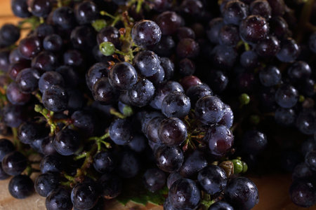 Grape harvest